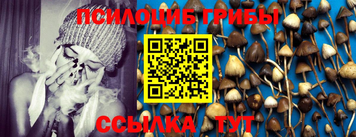 Псилоцибиновые грибы Psilocybe  Псилоцибиновые грибы мицелий  Вход с VPN  Пенза 